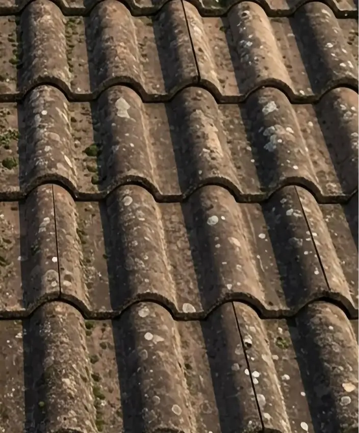 Close-up of weathered, mossy, curved roof tiles arranged in rows.