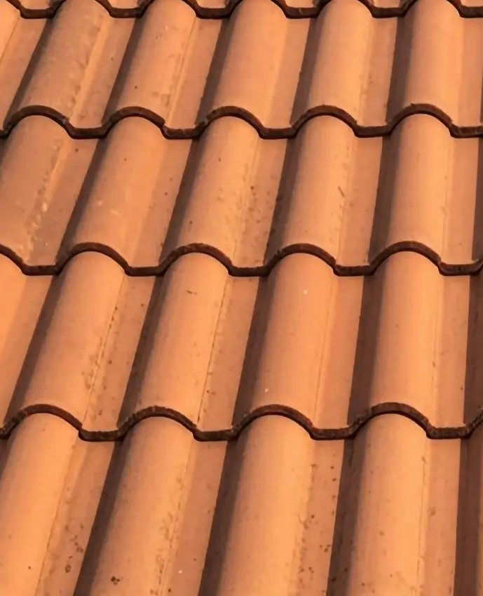 Close-up of terracotta roof tiles arranged in rows with curved patterns.